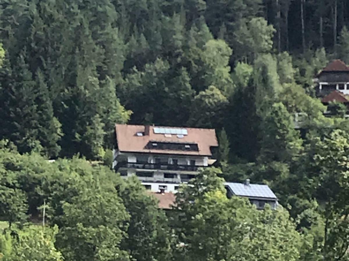 Pension Schwarzwaldblick Hornberg Exterior foto